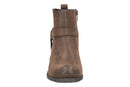 Chicory 28559504638213