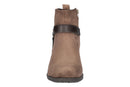 Chicory 28559505096965