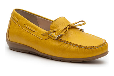 ara Amarillo in Sole - side view