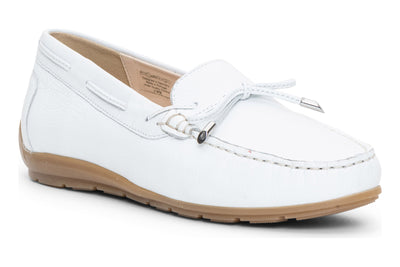 ara Amarillo in White - side view