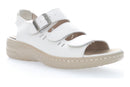 Breezy Walker 28582354649349