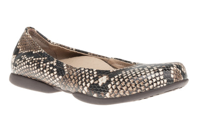 Tan Snake