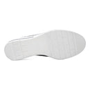 Zinnia 28722923634949