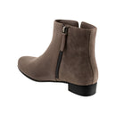 Maxwell 28716586795269