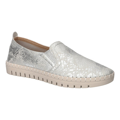 Silver Grey Snake
