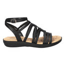 Daylily 28656231874821