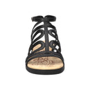 Daylily 28656231907589