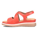 Amethyst 28726382756101