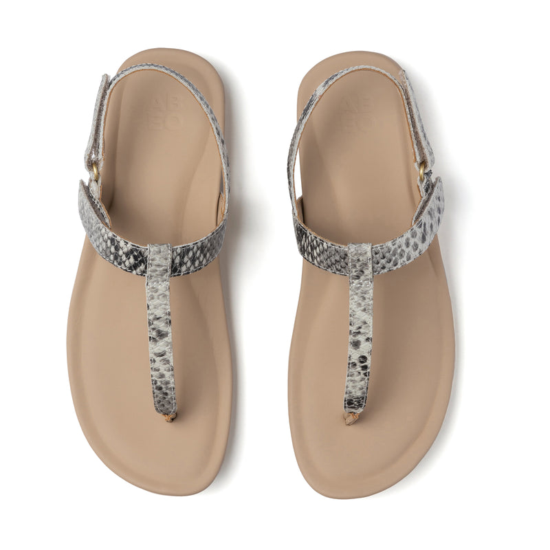 Oasis T Strap Metatarsal