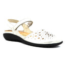 Arataki 28722176065797