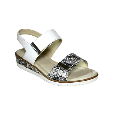 White Multi