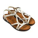 Dorith 28719506686213