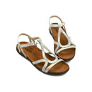 Dorith 28719506653445