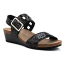 Dynasty 28719507177733