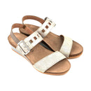 Dynasty 28719507079429