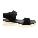 Papaya 28713281356037