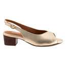 Lakewood 28725254553861