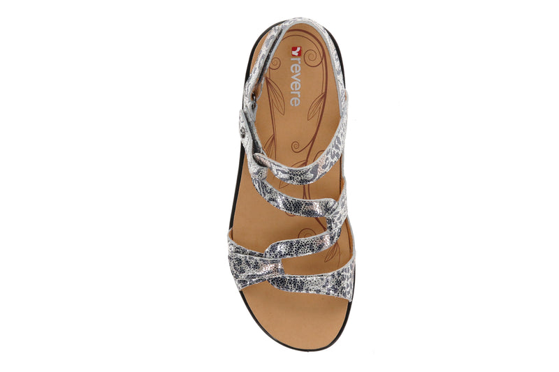 bunions