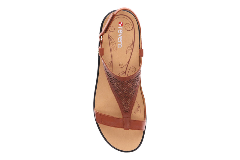 bunions