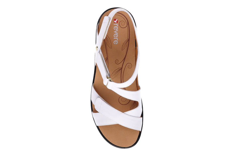 bunions