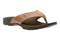 Balboa Metatarsal