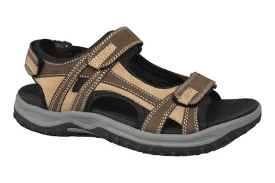 Brown-Tan