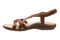 Bella Metatarsal