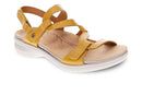 metatarsalgia + plantar fasciitis  28575212601605